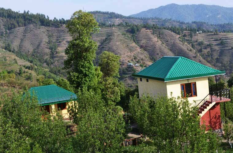 TG Stays Kandhaghat Chail Road, Chail 4